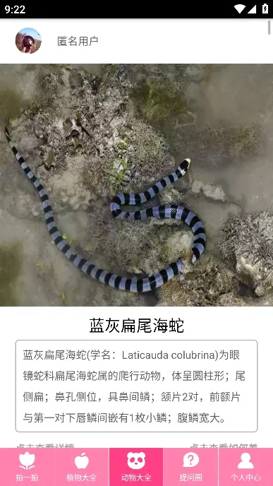 拍照识物最新手机版 拍照识物最新手机版