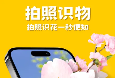 拍照识物最新手机版 拍照识物最新手机版