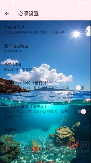 Ѳ��˽��2026�ٷ����°汾