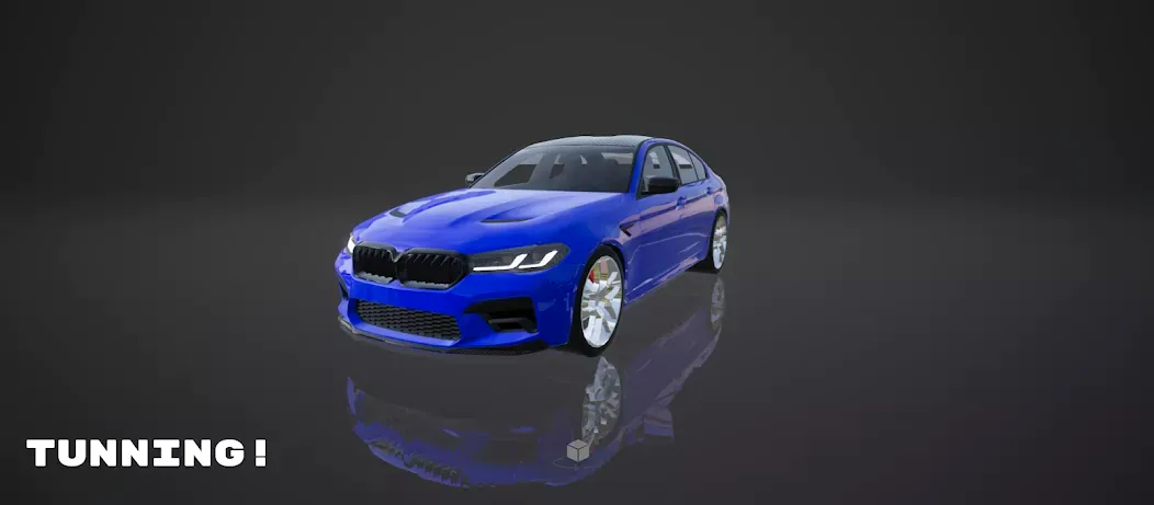 PROJECT R���ռ�����ģ����2026�ٷ����°汾v0.2.04 �ֻ���