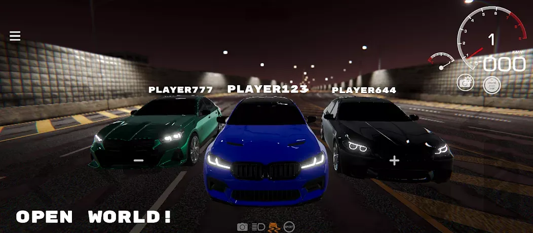 PROJECT R���ռ�����ģ����2026�ٷ����°汾v0.2.04 �ֻ���