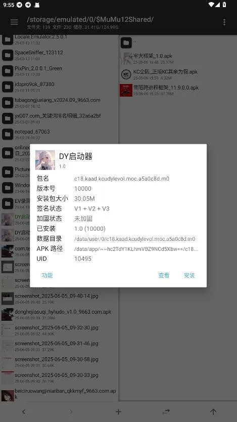 DY启动器 DY启动器