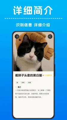 AI����ʶ�������ֻ���v1.0.4 �ֻ���