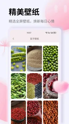 K��2026���°汾v1.0.0 ��׿��