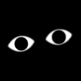 ��Ҫգ�������޵�v0.3.0 ��׿��
