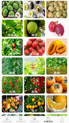 �ͷ׻���v2.7.2.3 ��׿��