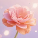 үү�İٲ��û���v1.5 ��׿��
