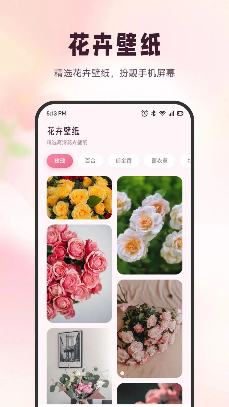 ѩ�ڻ���2026�ٷ����°汾v1.6 �ֻ���