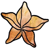 ����ͷsteam��ֲ��2026�ٷ����°汾v1.6.8 �ֻ���