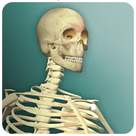 ��������2����2026�ٷ����°汾v3.1 �ֻ���