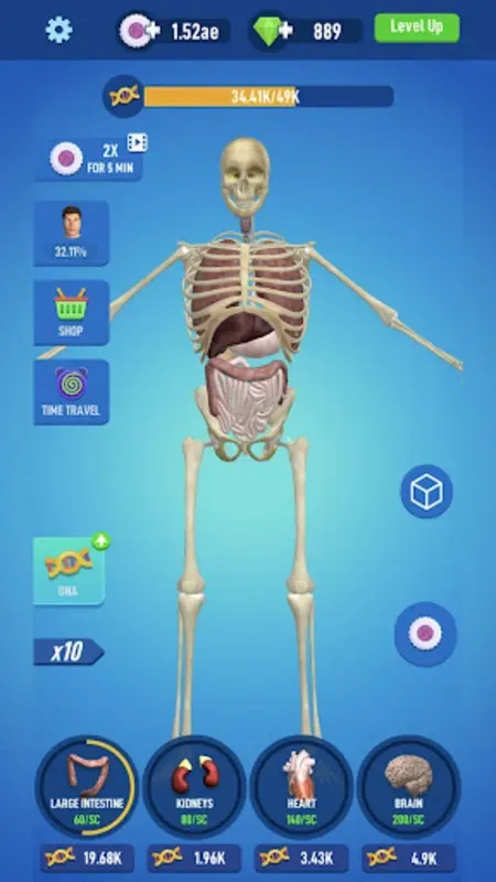 ��������2����2026�ٷ����°汾v3.1 �ֻ���