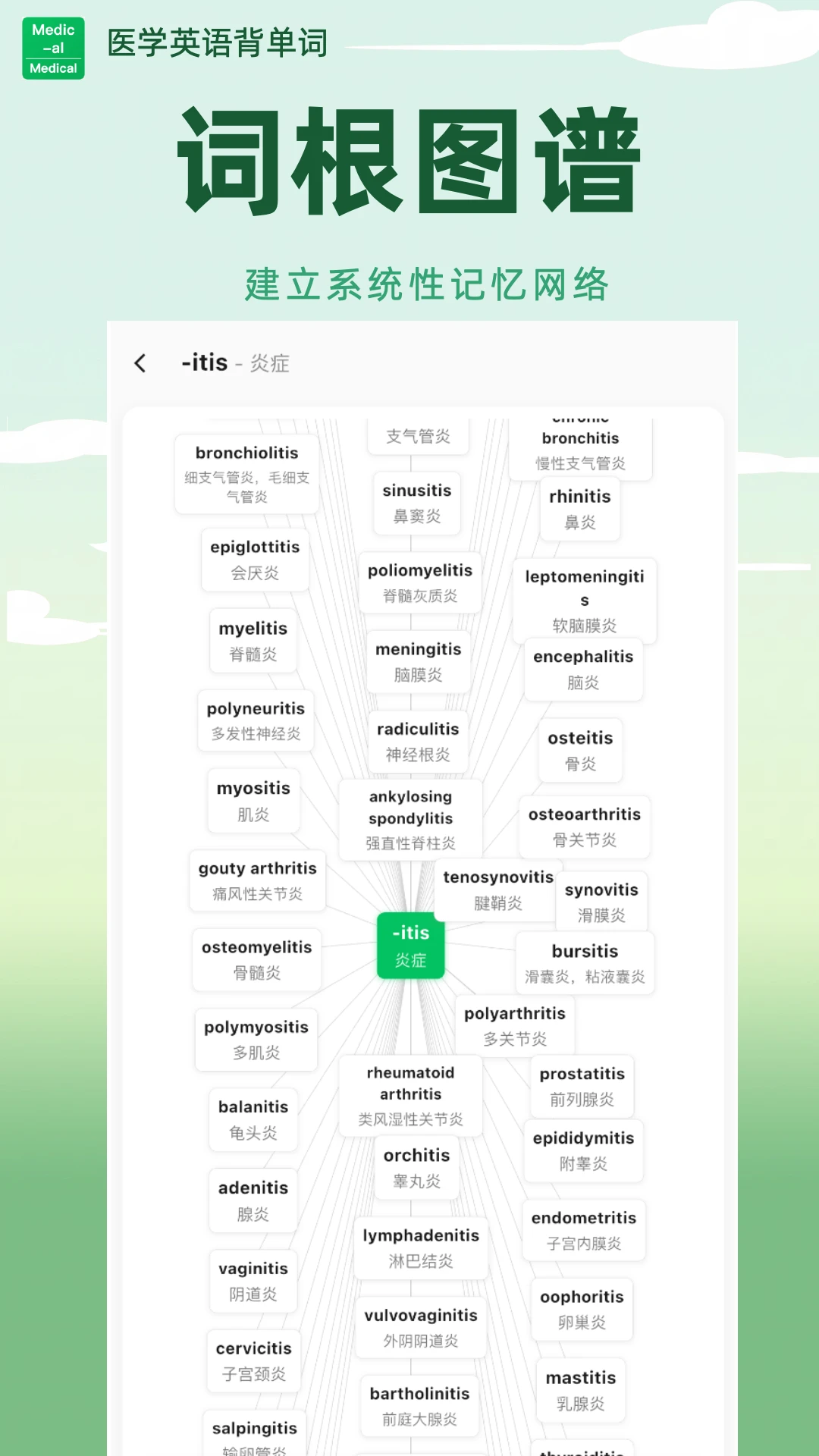 ҽѧӢ�ﱳ����v1.6.68 �ֻ���