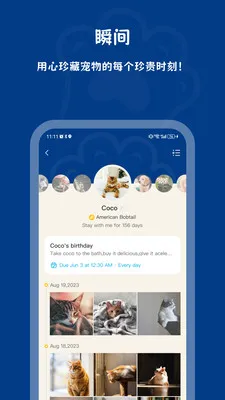 PawViewv1.3.2 ��׿��