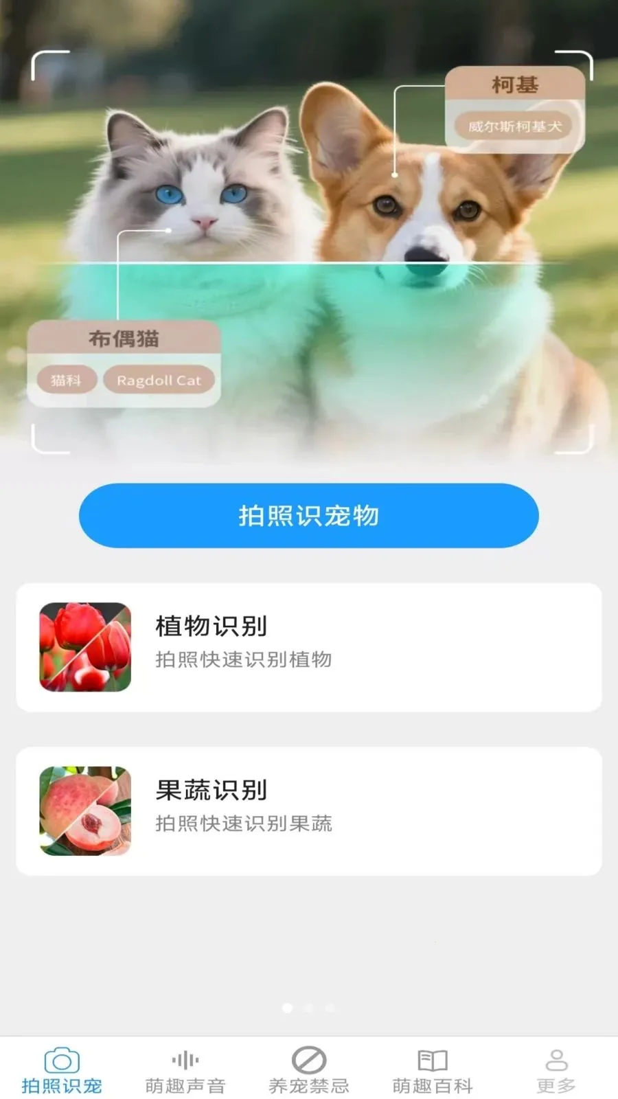 Ԫ������v2.7.2.2 ��׿��