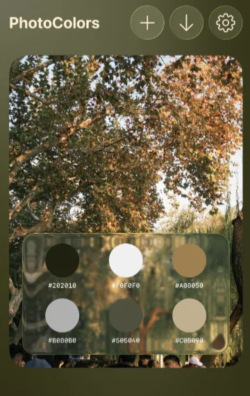 PhotoColors�����ֻ���