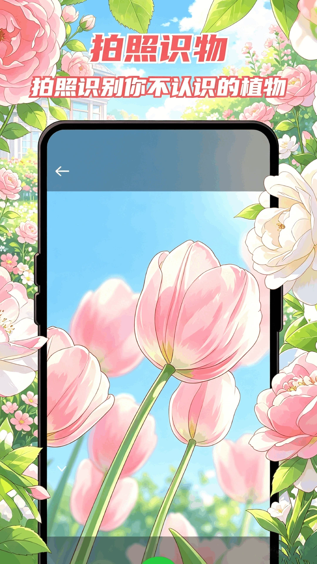 ������Է2026�ٷ����°汾v1.1 �ֻ���