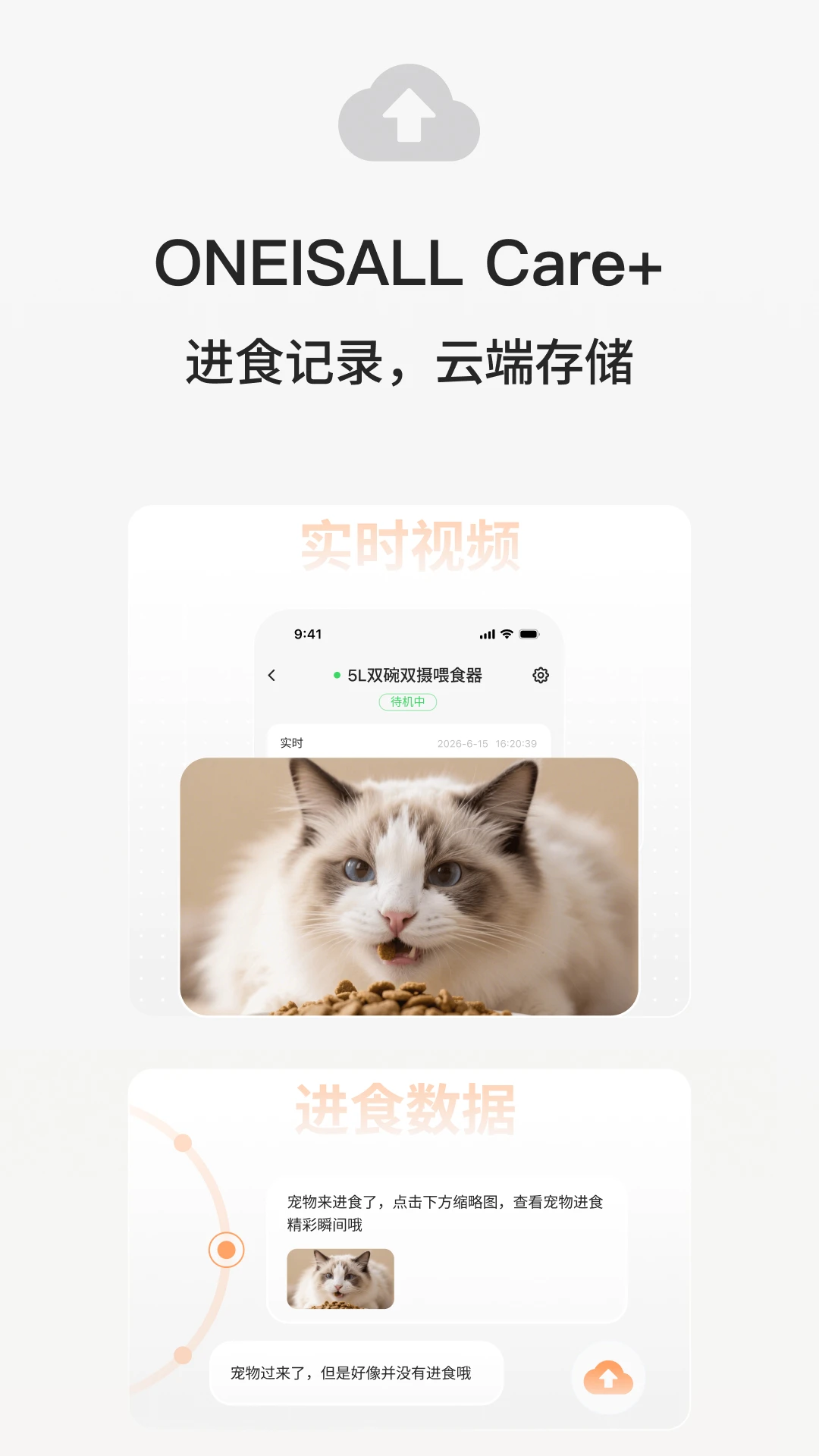 ��С��2026���°汾